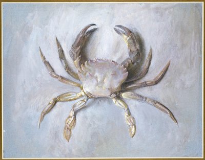 Velvet Crab, 1870-1 by John Ruskin
